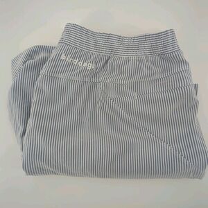 Bird Dogs Boom For Your Boomstick Men's XXL Blue White Striped Lined Shorts